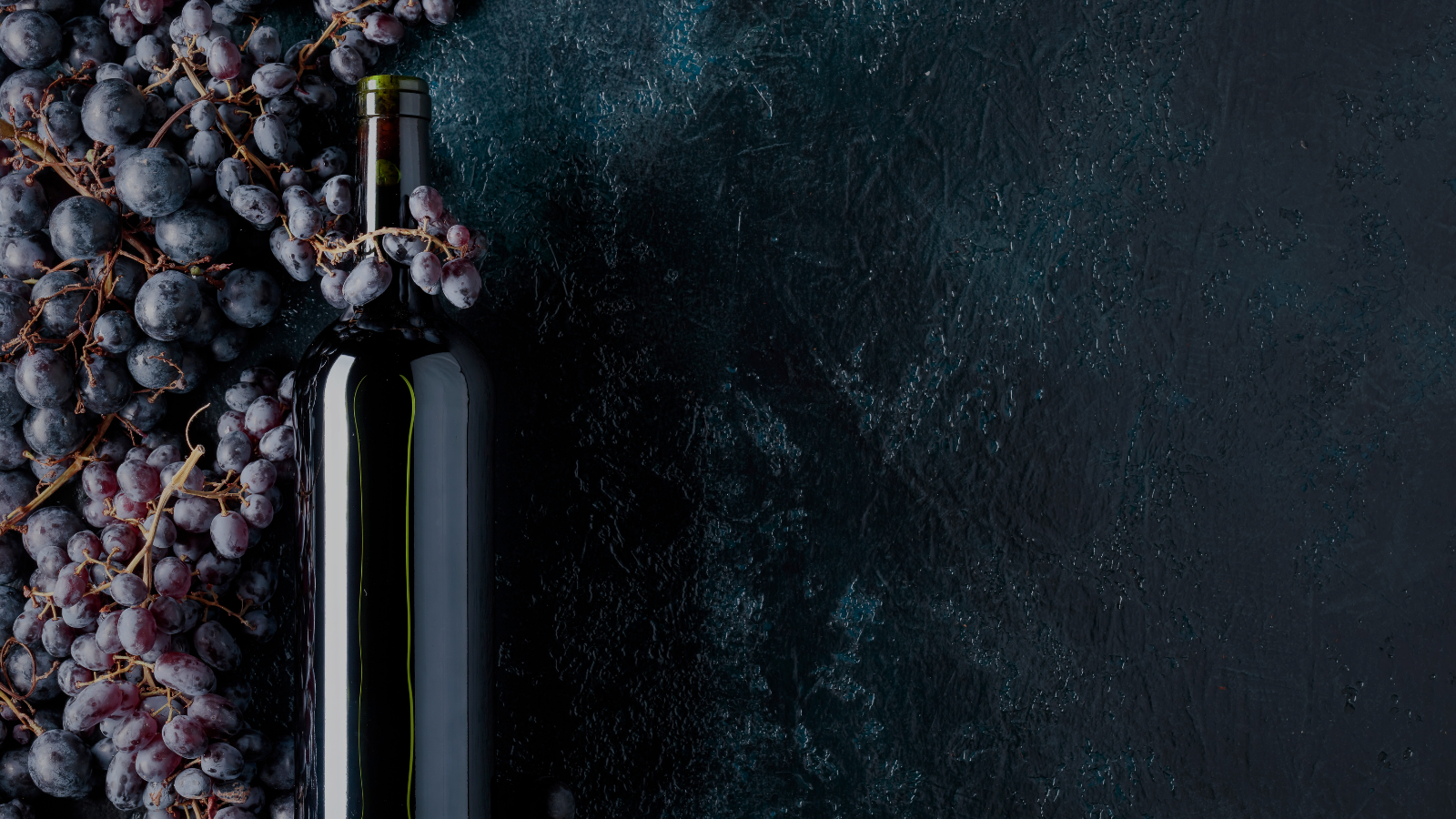 homepage cover2.png