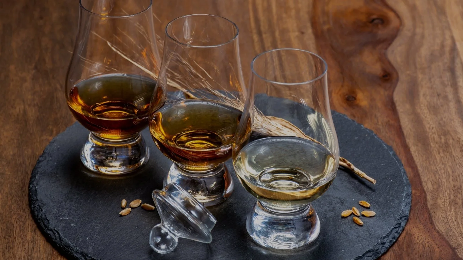 Elevate Your Team with Custom Beverage Education