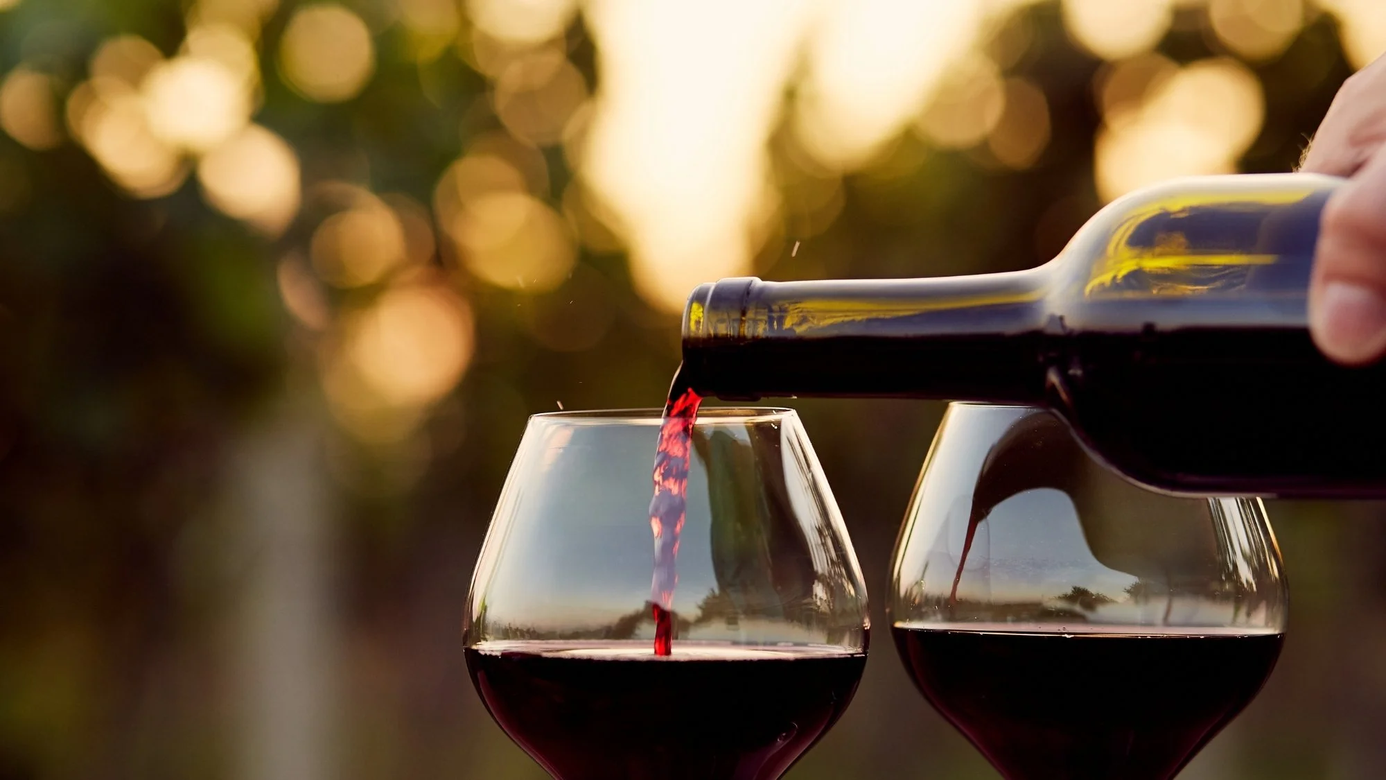 wine tasting cover 1 (10).jpg