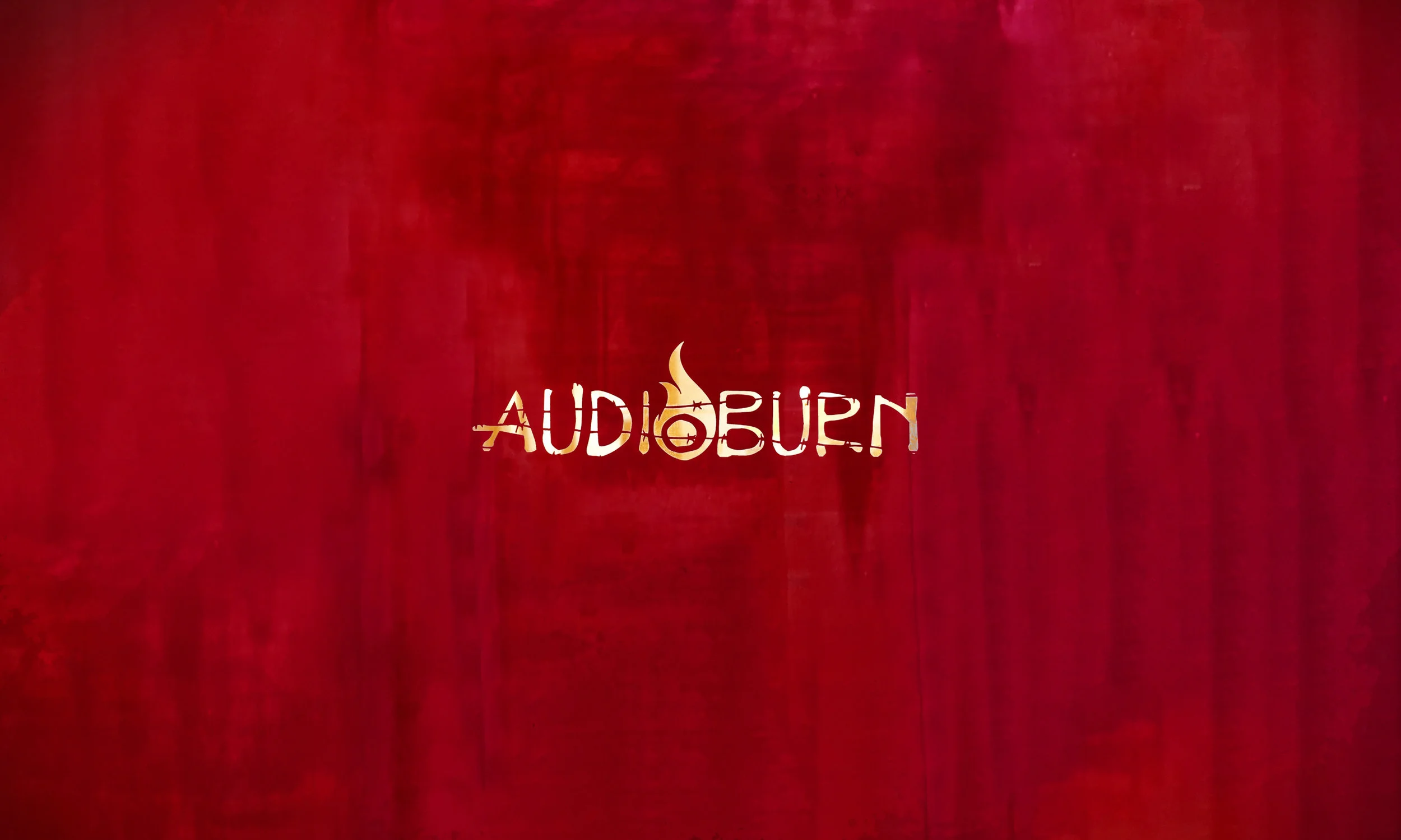 AUDIOBURN V2.jpg