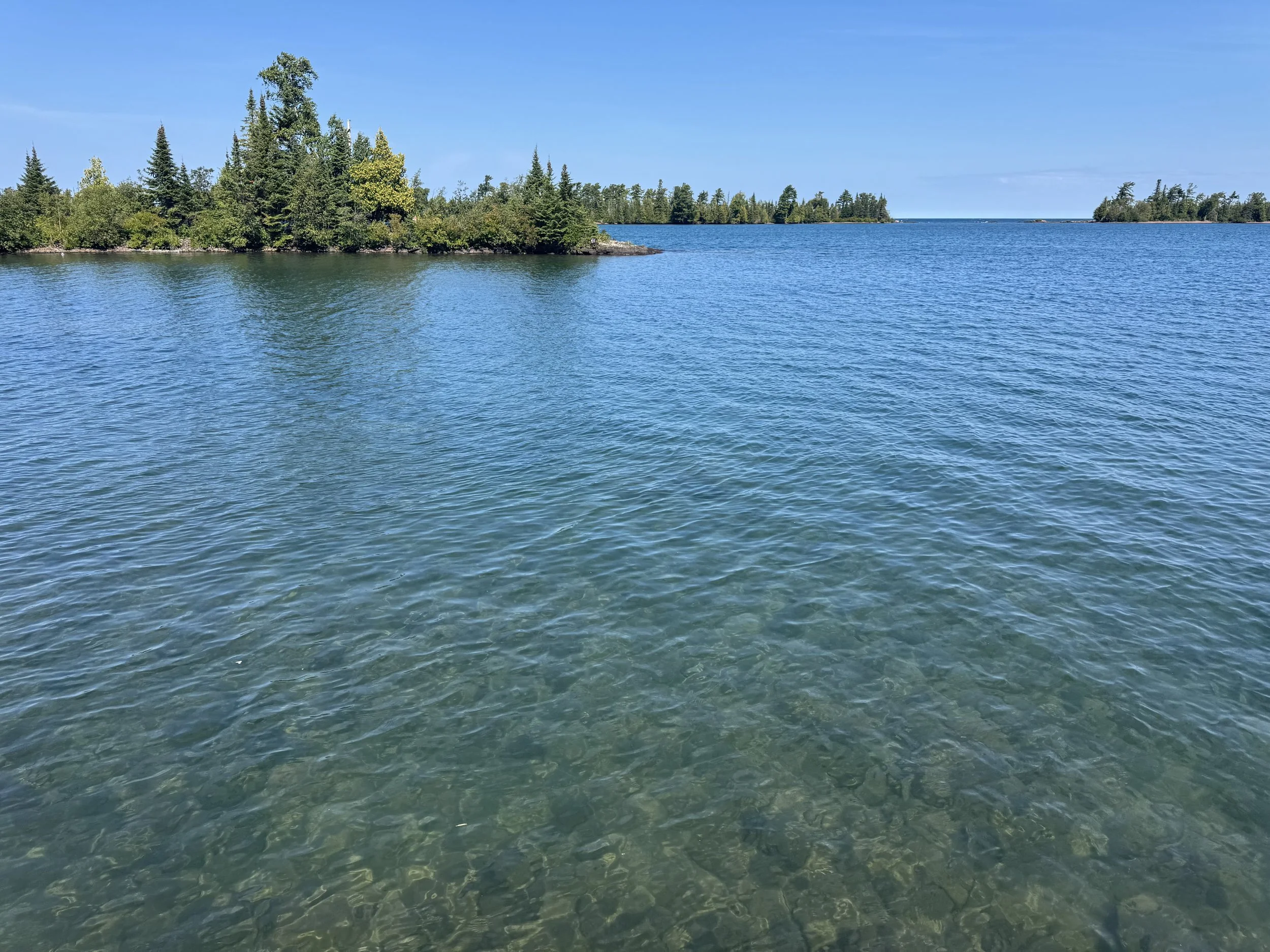 IMG_0807.jpeg