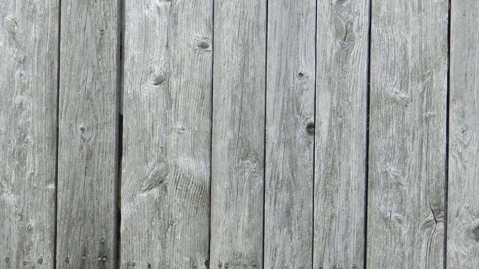 header7.jpg