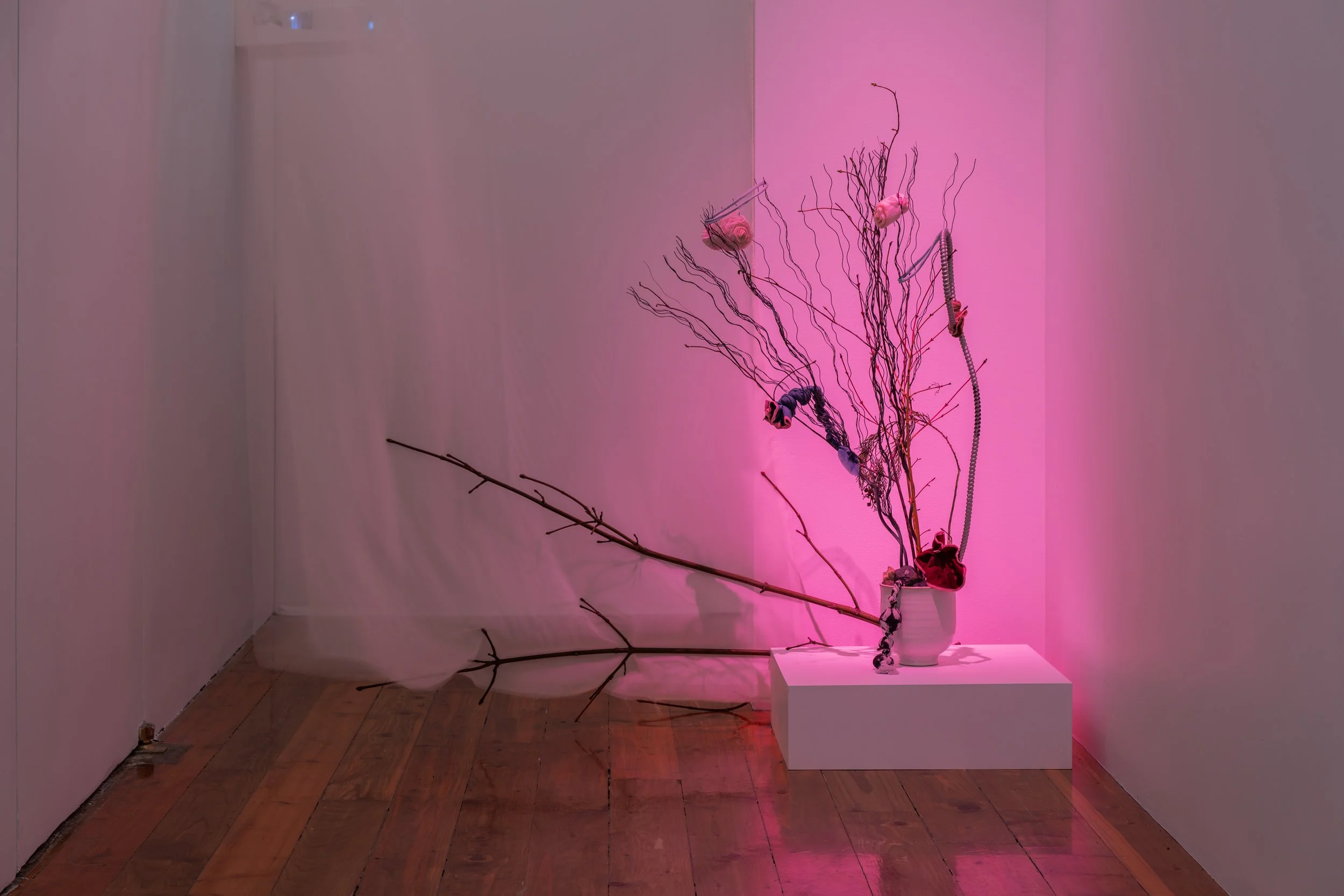 Las Vegas Ikebana (2024).jpg