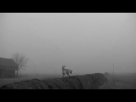 County Road 273 (2014)