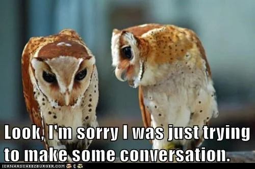 owls.jpeg