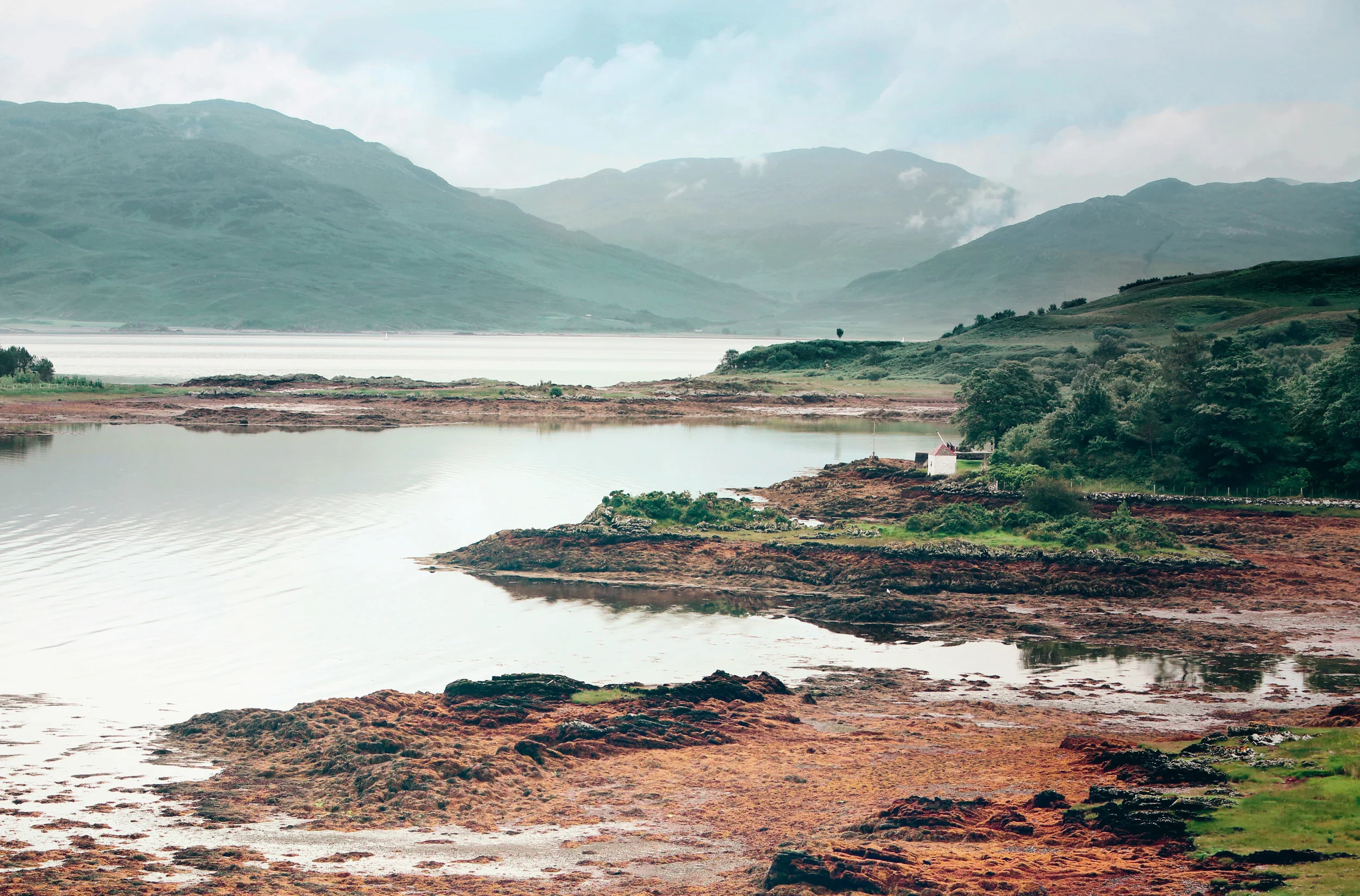   Who We Are    Learn more  