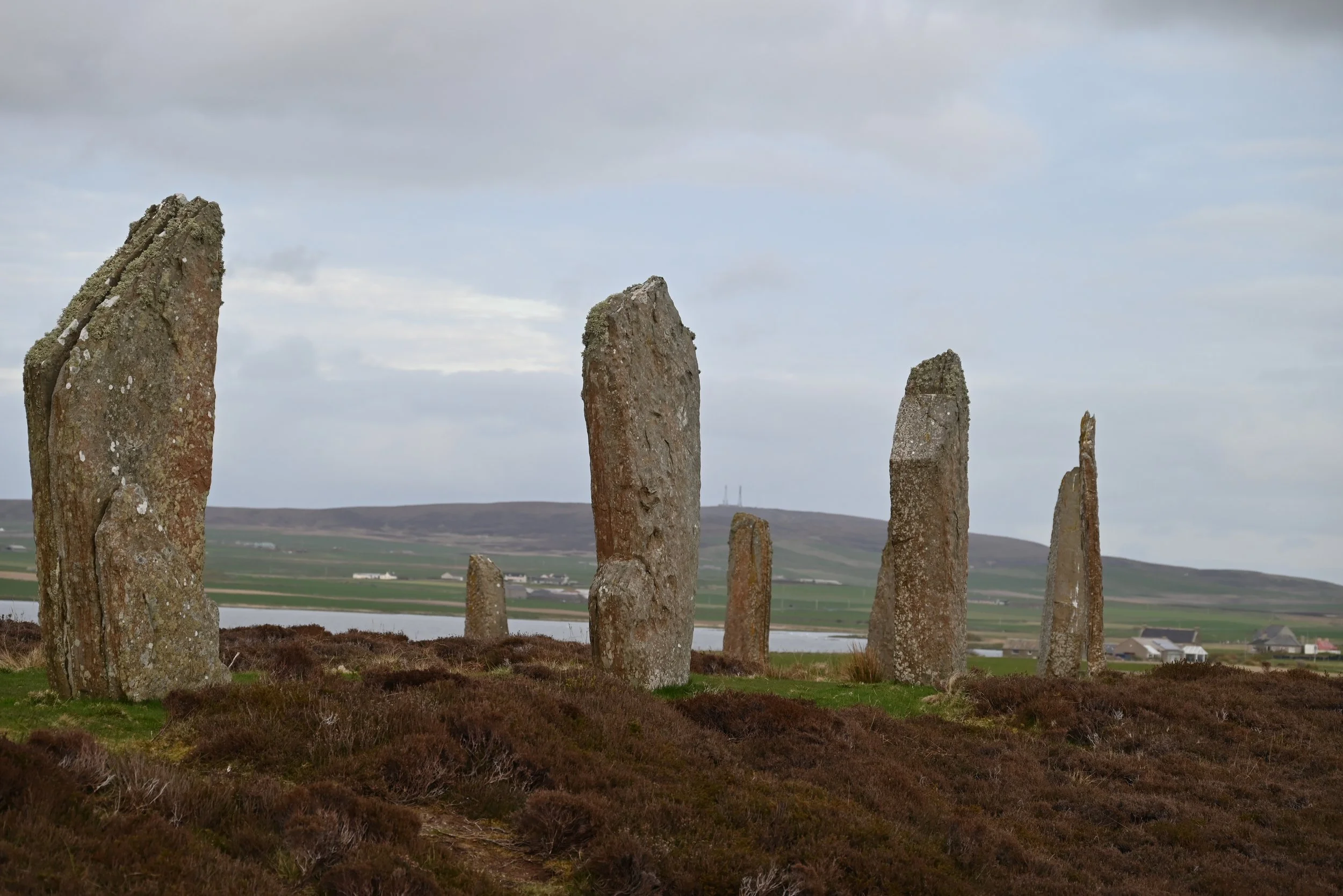 Elections 2022 - Are you ready to serve our community?