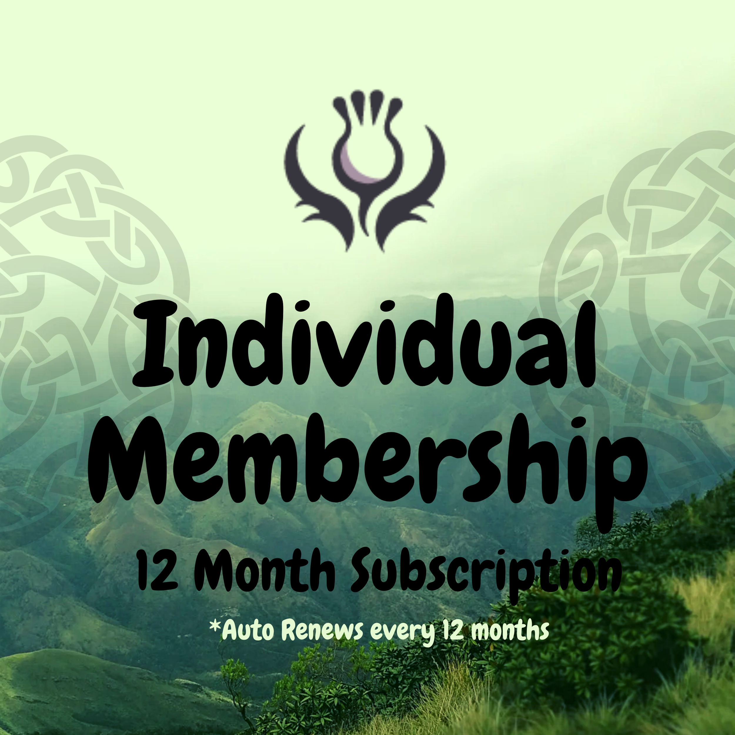 Copy of Add a heading.png