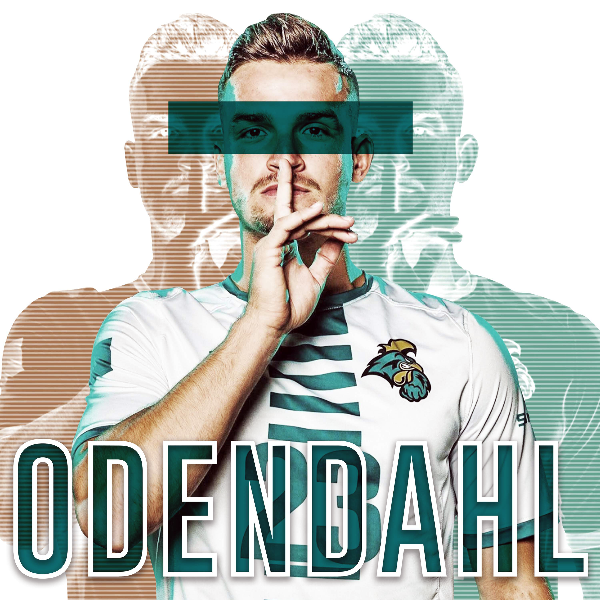 DXD-CCU-Odendahl.png