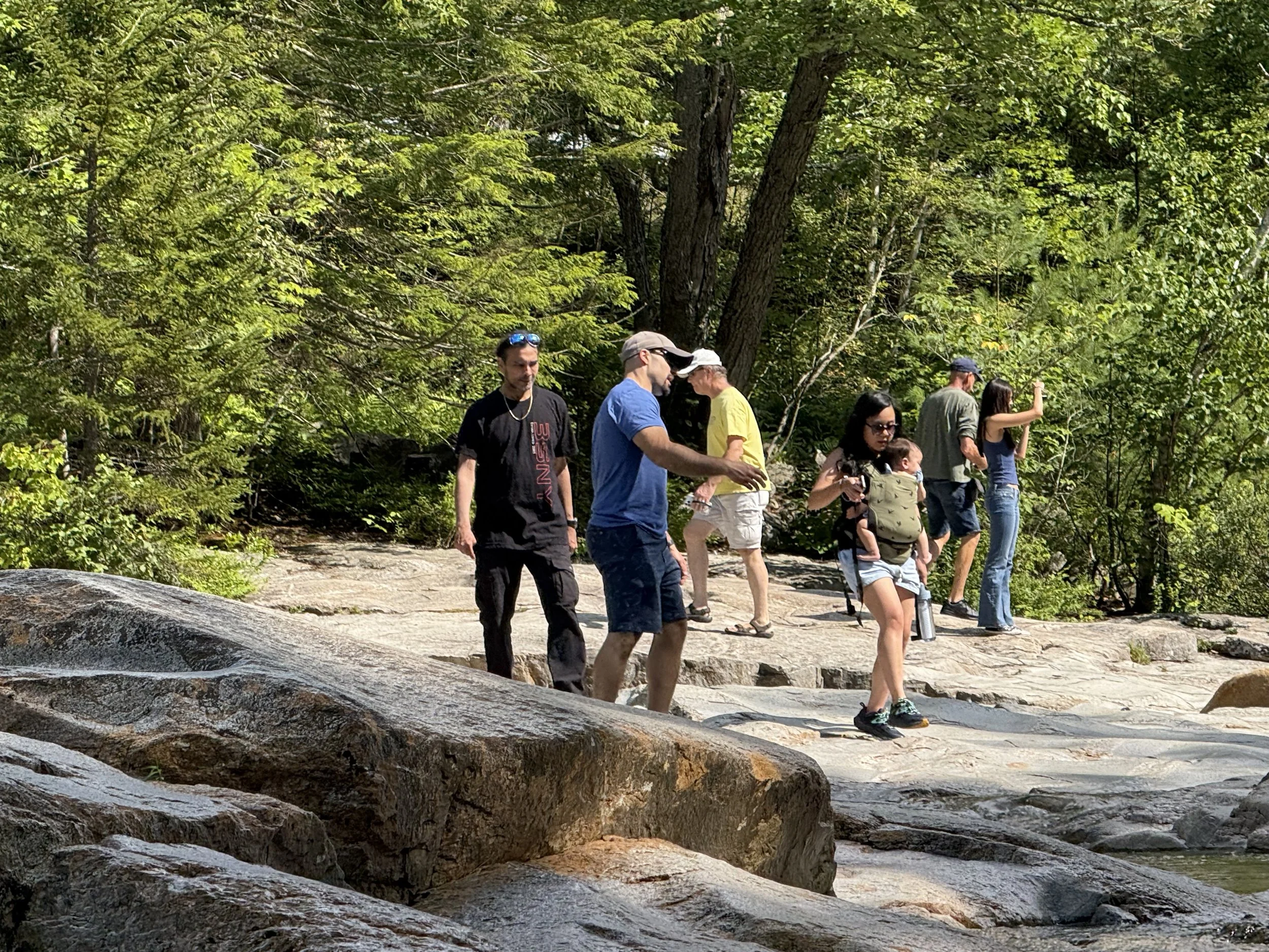 IMG_2318.jpeg