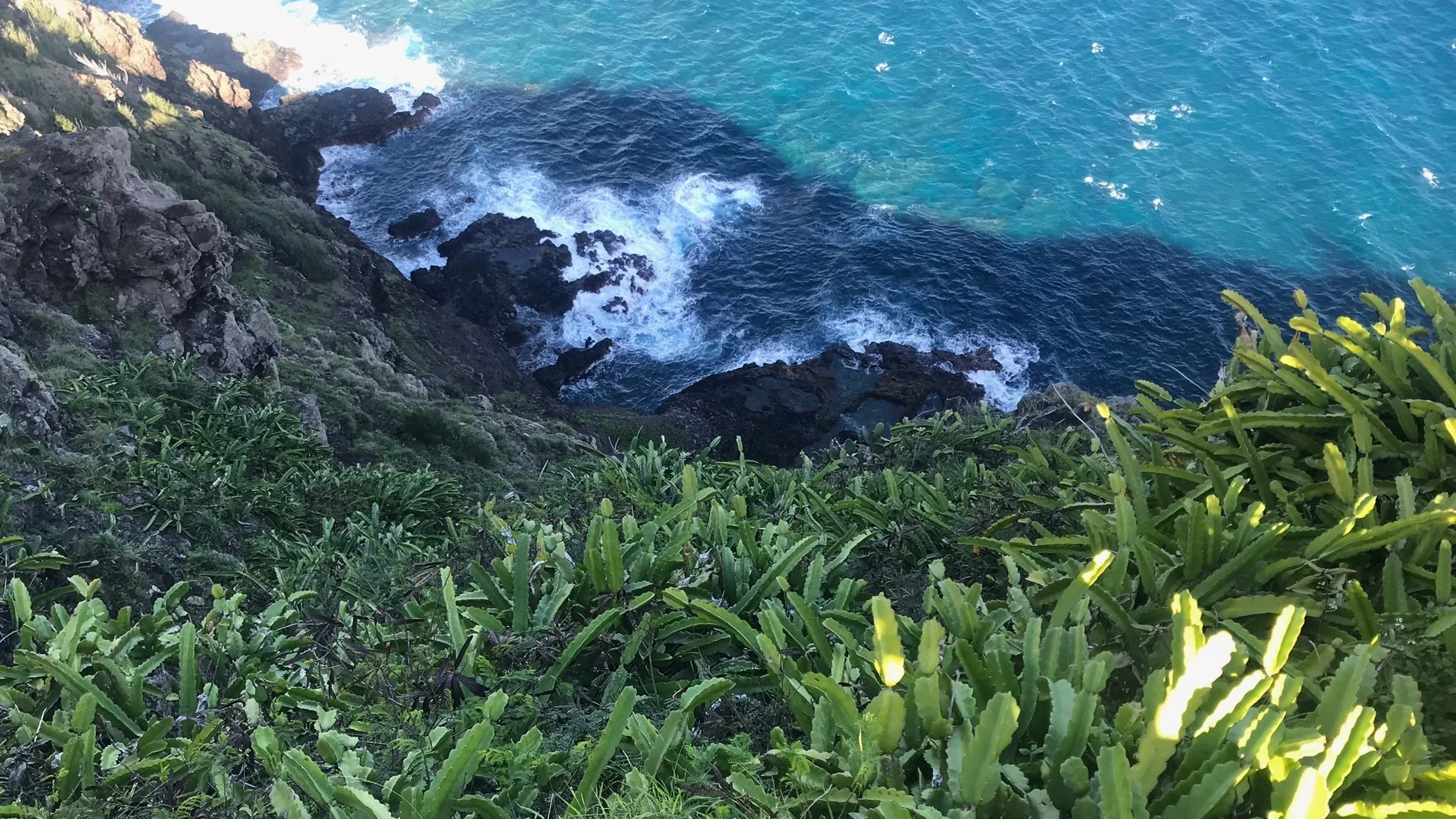 View from Makapu’u Lighthouse Trail, Oahu, January 2018