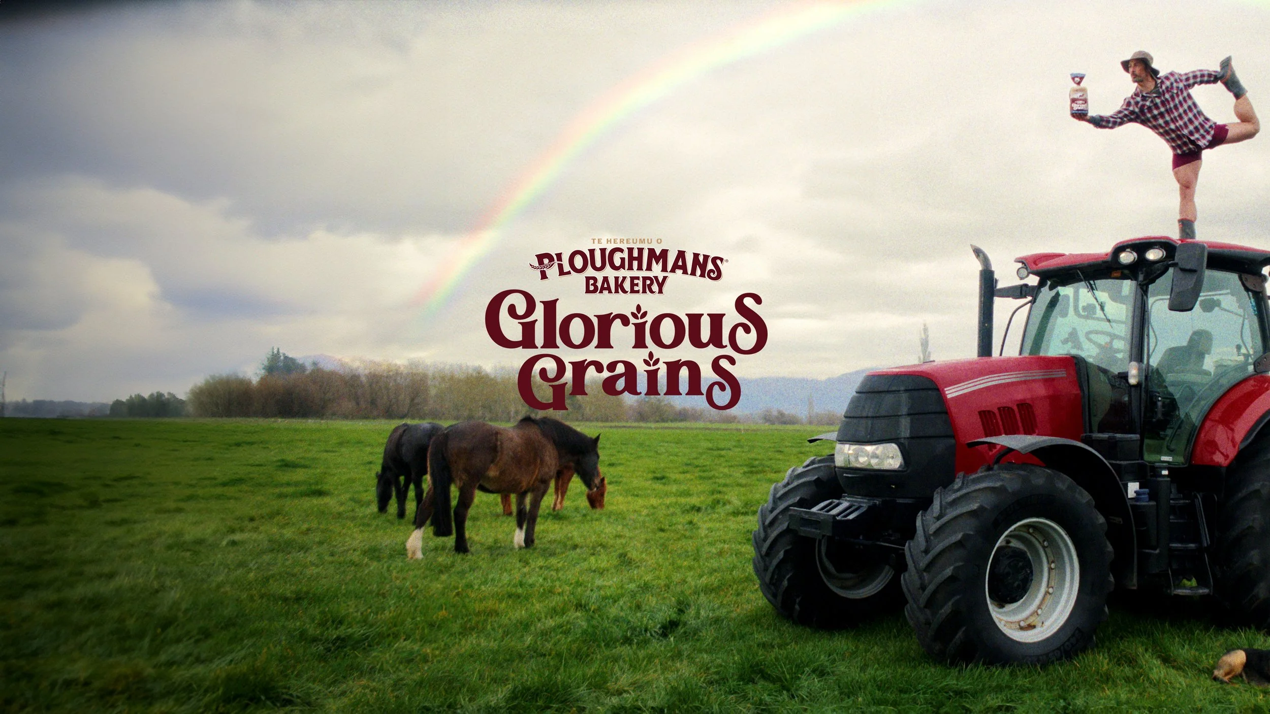 Ploughmans Bakery - Glorious Grains