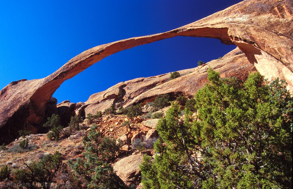 image_276.jpg