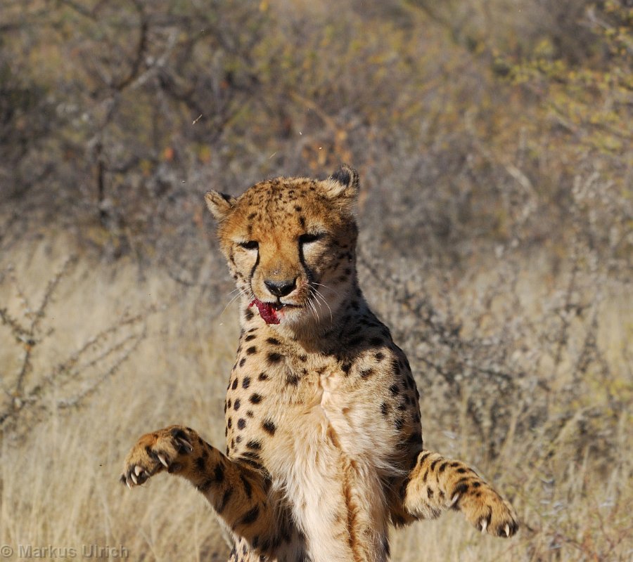 namibia_3423.jpg