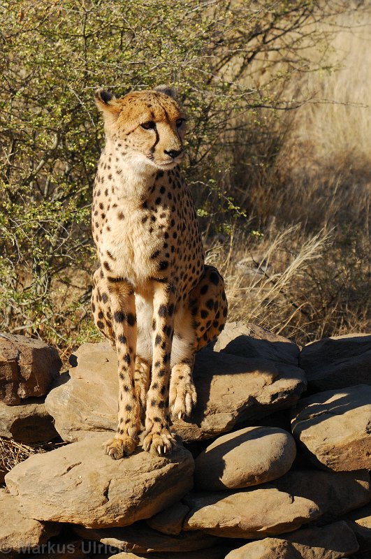 namibia_3446.jpg