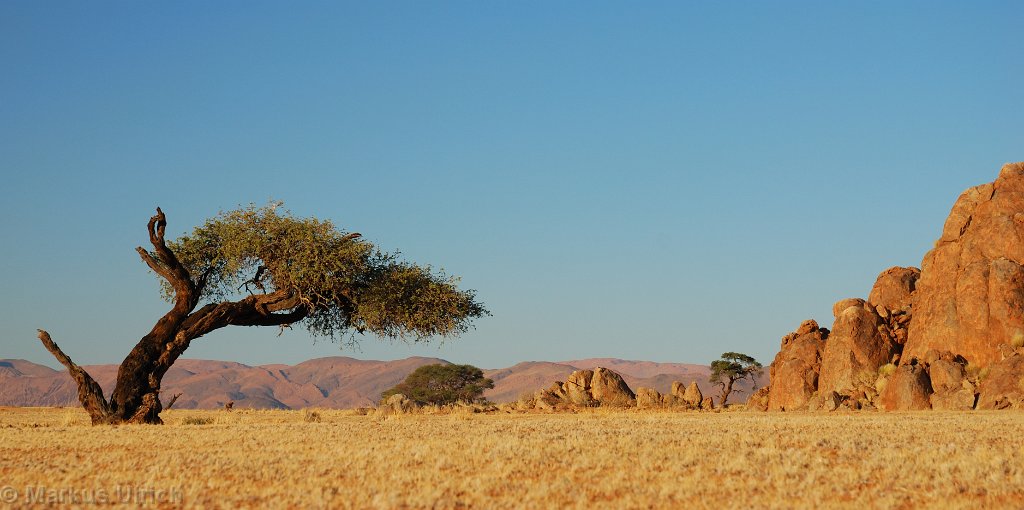 namibia_0977.jpg