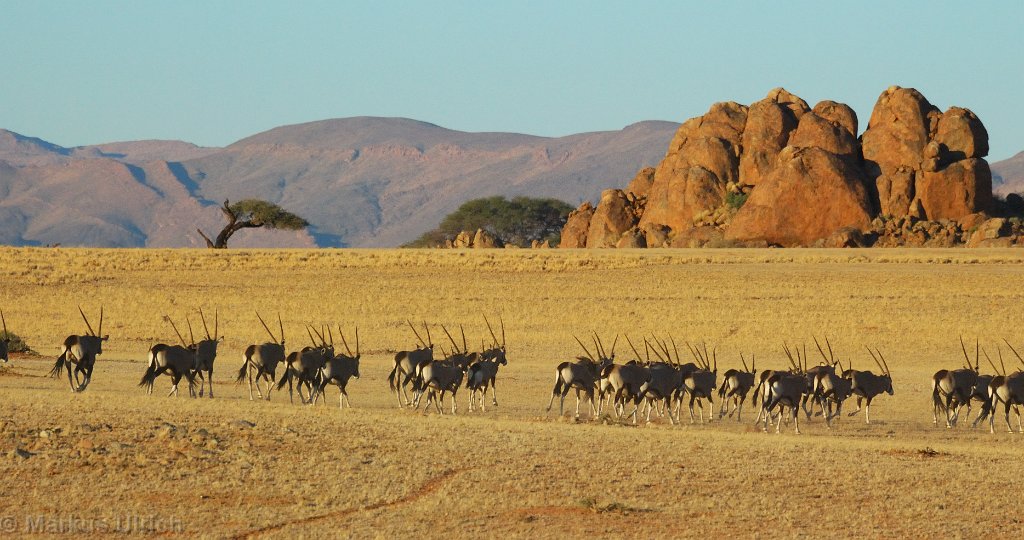 namibia_1010.jpg