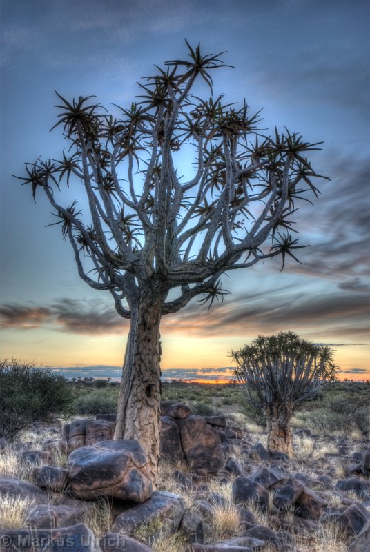namibia_0142-0147_hdr.jpg