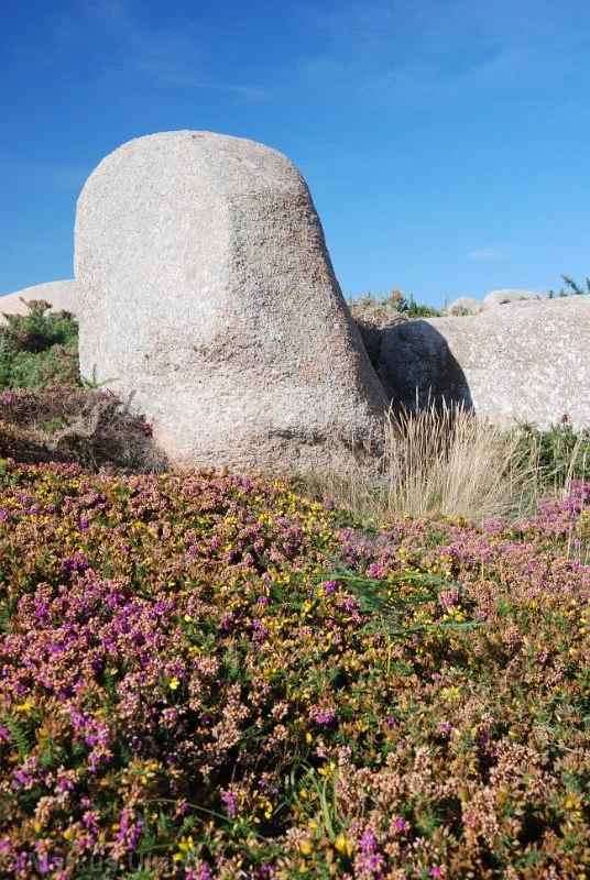 urlaub_frankreich_0797.jpg