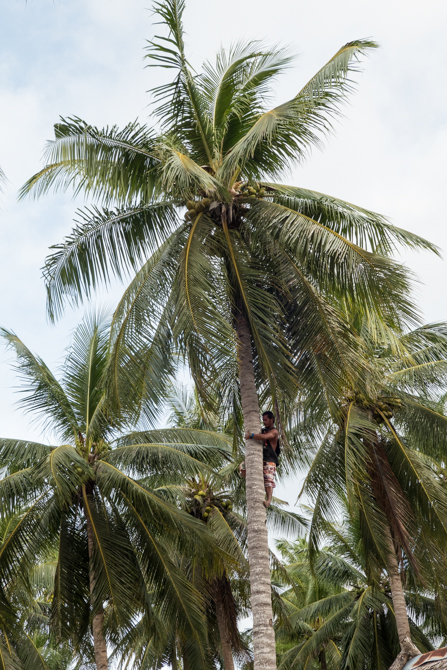 Coconuts, picked fresh from the tree, minutes before we got to enjoy them. Can’t get fresher than that!