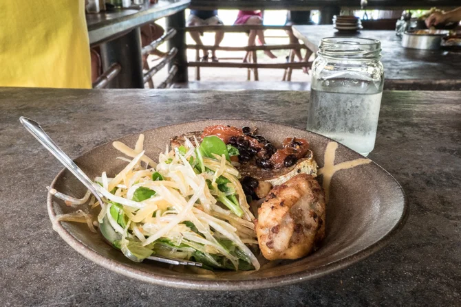 Summer rolls (eaten), Rellenong Saba (stuffed banana), pan fried fish with homemade blackbean sauce, green papaya salad. YUM!