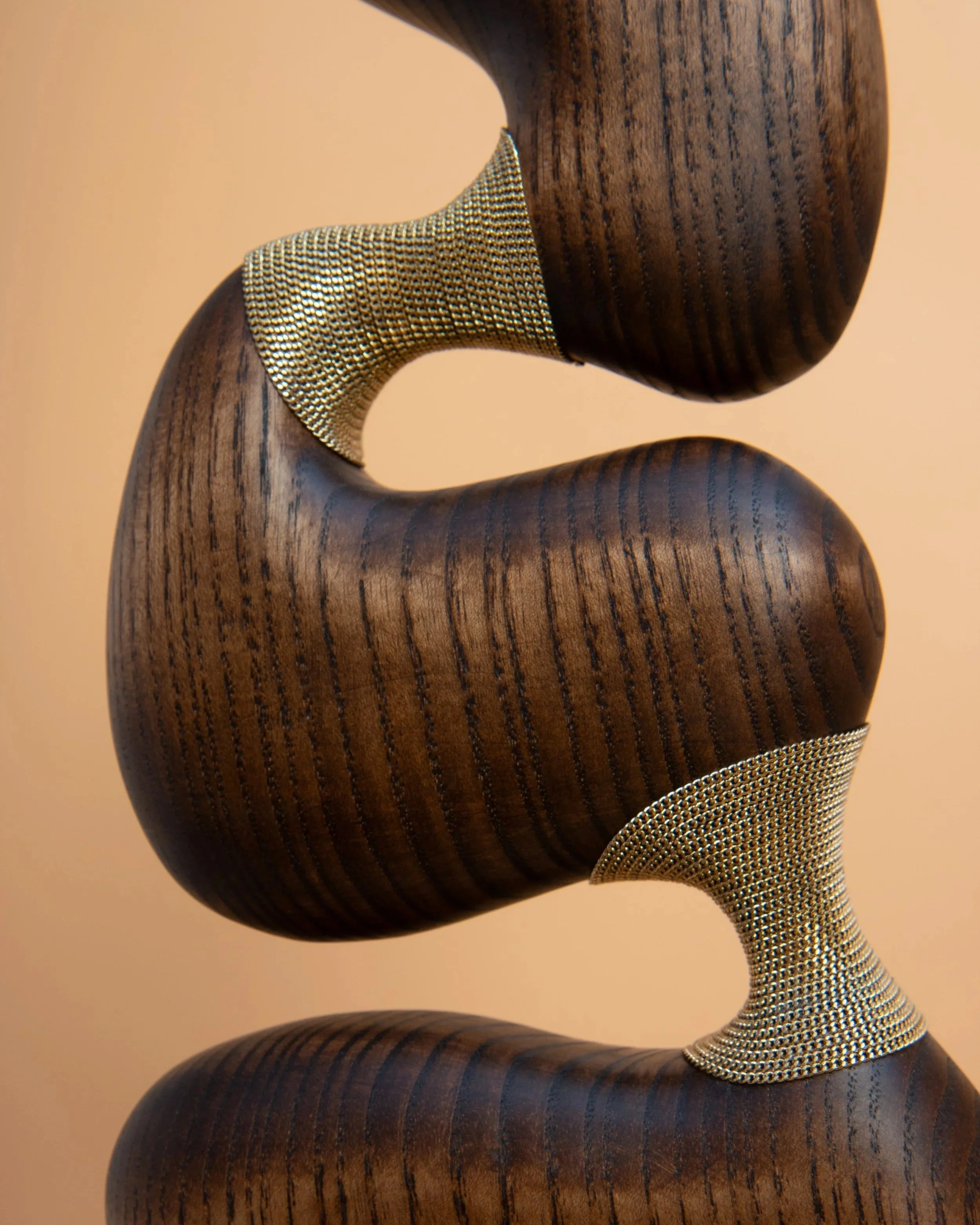 Fieraz  Fine Art Wood Sculpture