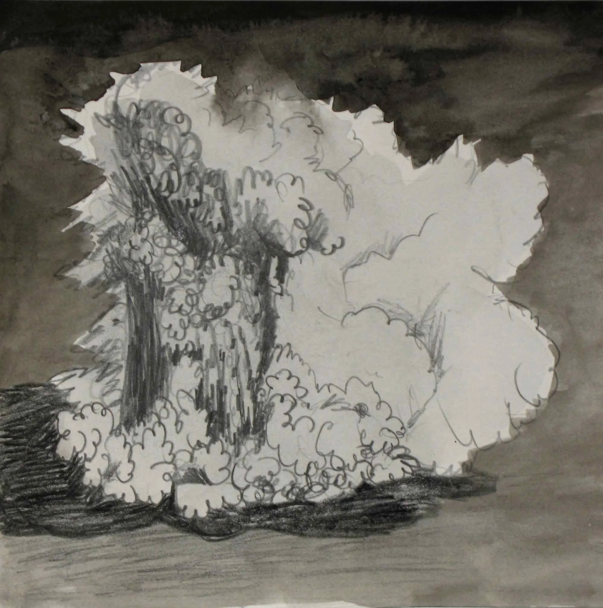 Uit de serie Zo gaan dingen (That’s the way the cookie crumbles) potlood, inkt 25 x 25 cm, 2007-2009, privécollectie
