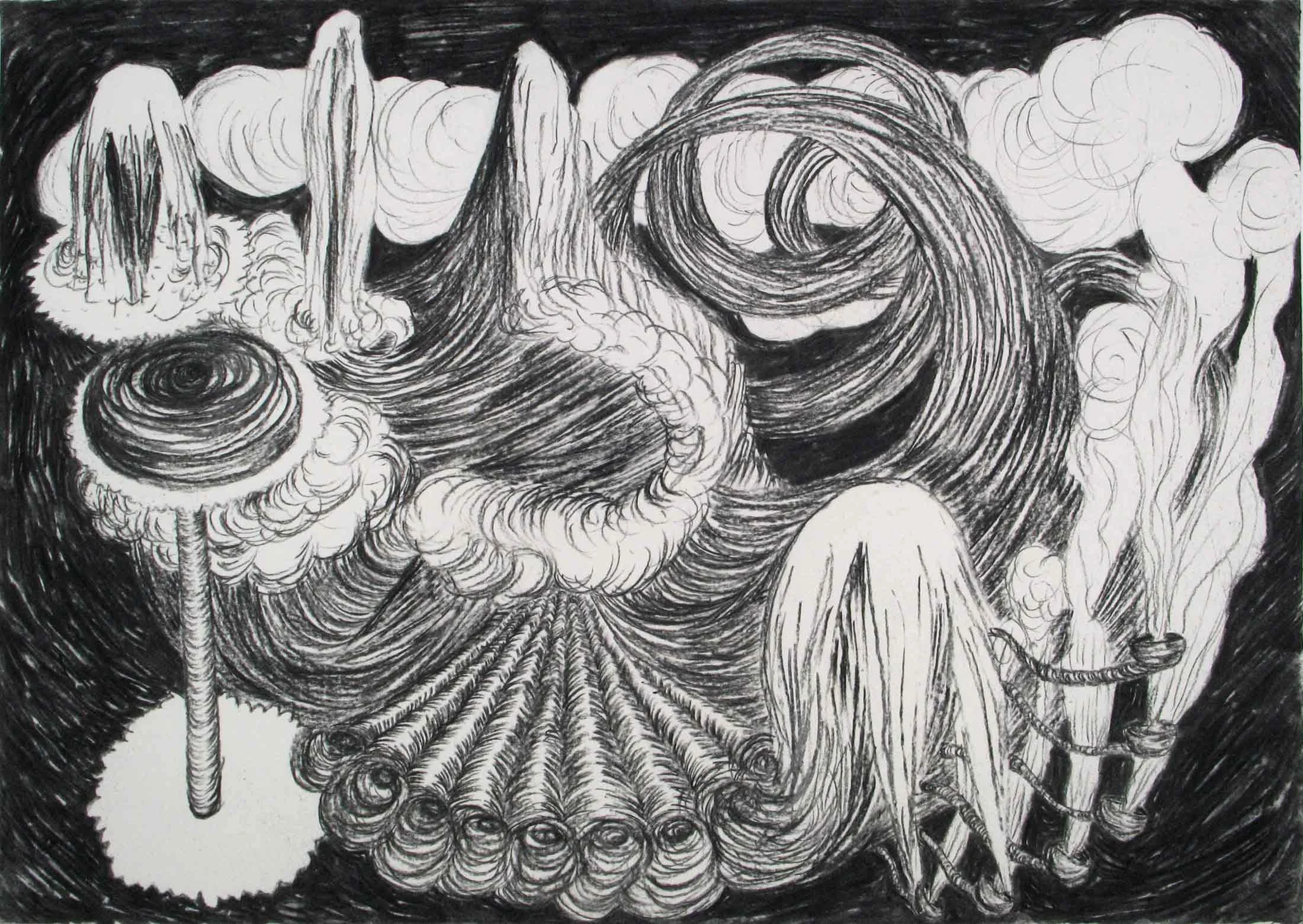 Geen titel (Untitled) houtskool 42 x 65 cm, 2011