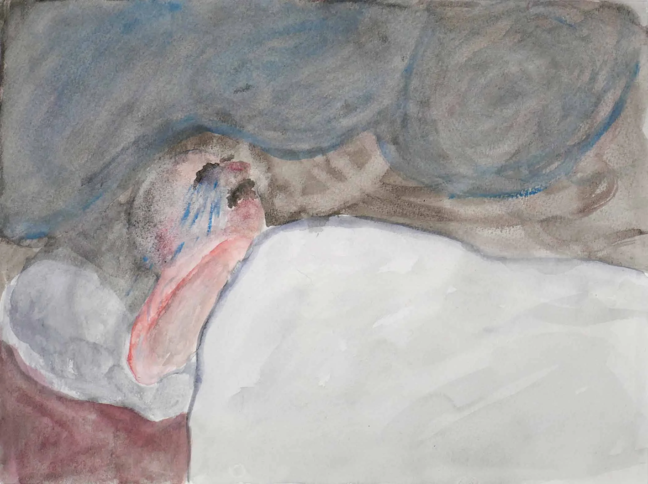 Uit de serie Zo gaan dingen (That’s the way the cookie crumbles) inkt, aquarel 24 x 32 cm, 2007-2009