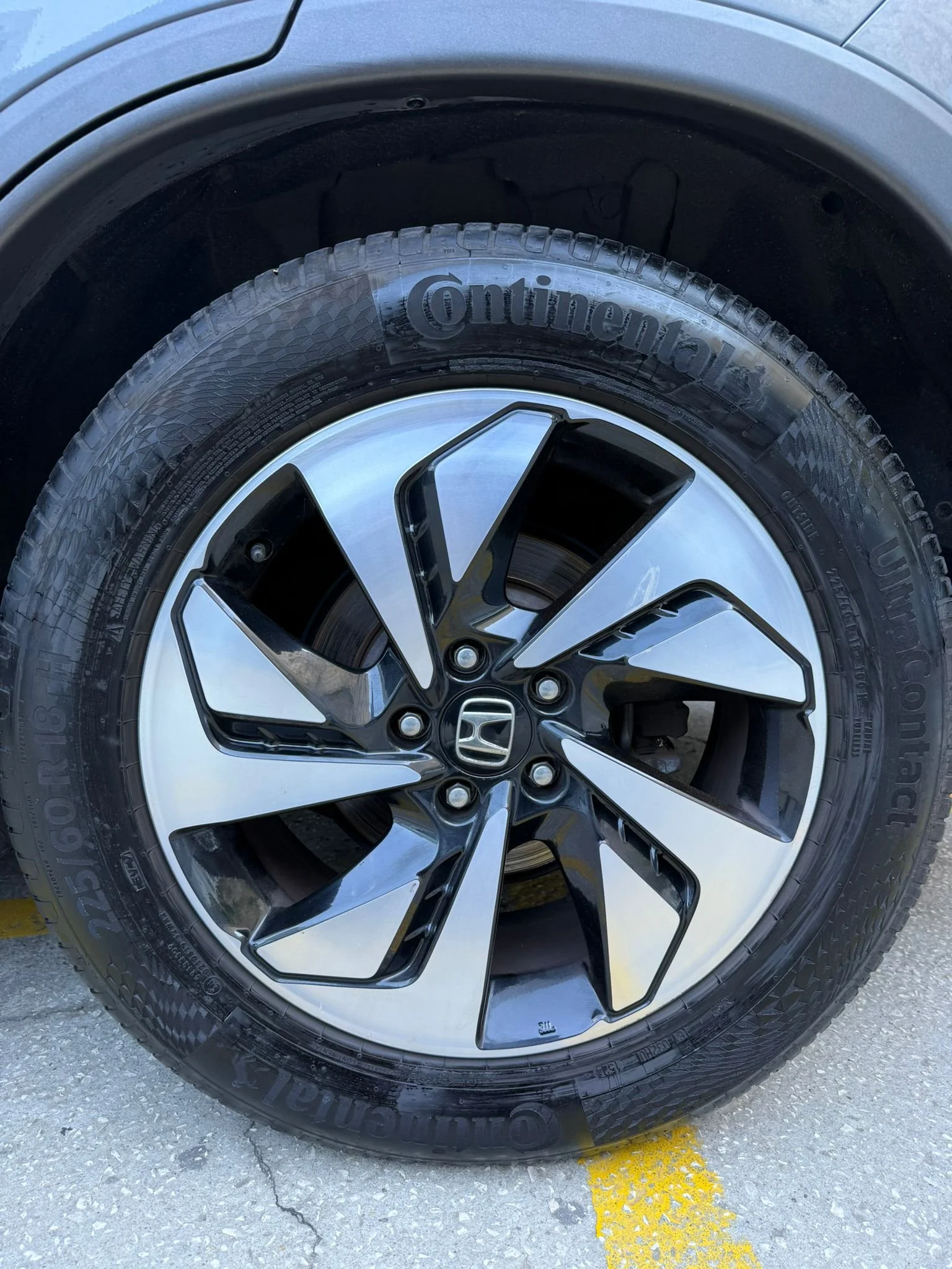 WhatsApp Image 2025-11-20 at 16.48.32 (3).jpeg