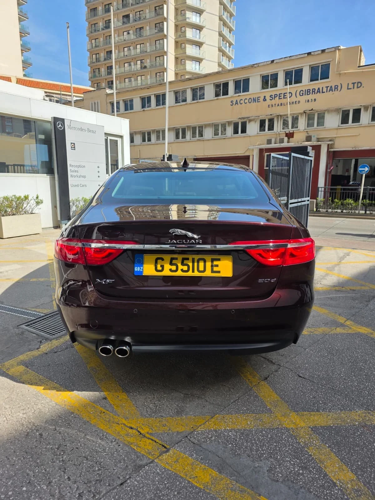 WhatsApp Image 2026-04-13 at 11.22.52 (1).jpeg