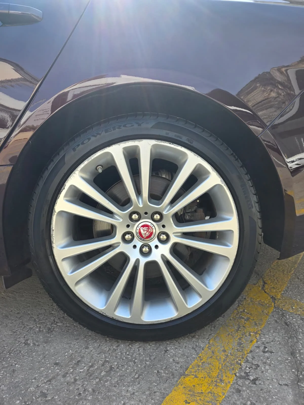 WhatsApp Image 2026-04-13 at 11.22.57 (1).jpeg