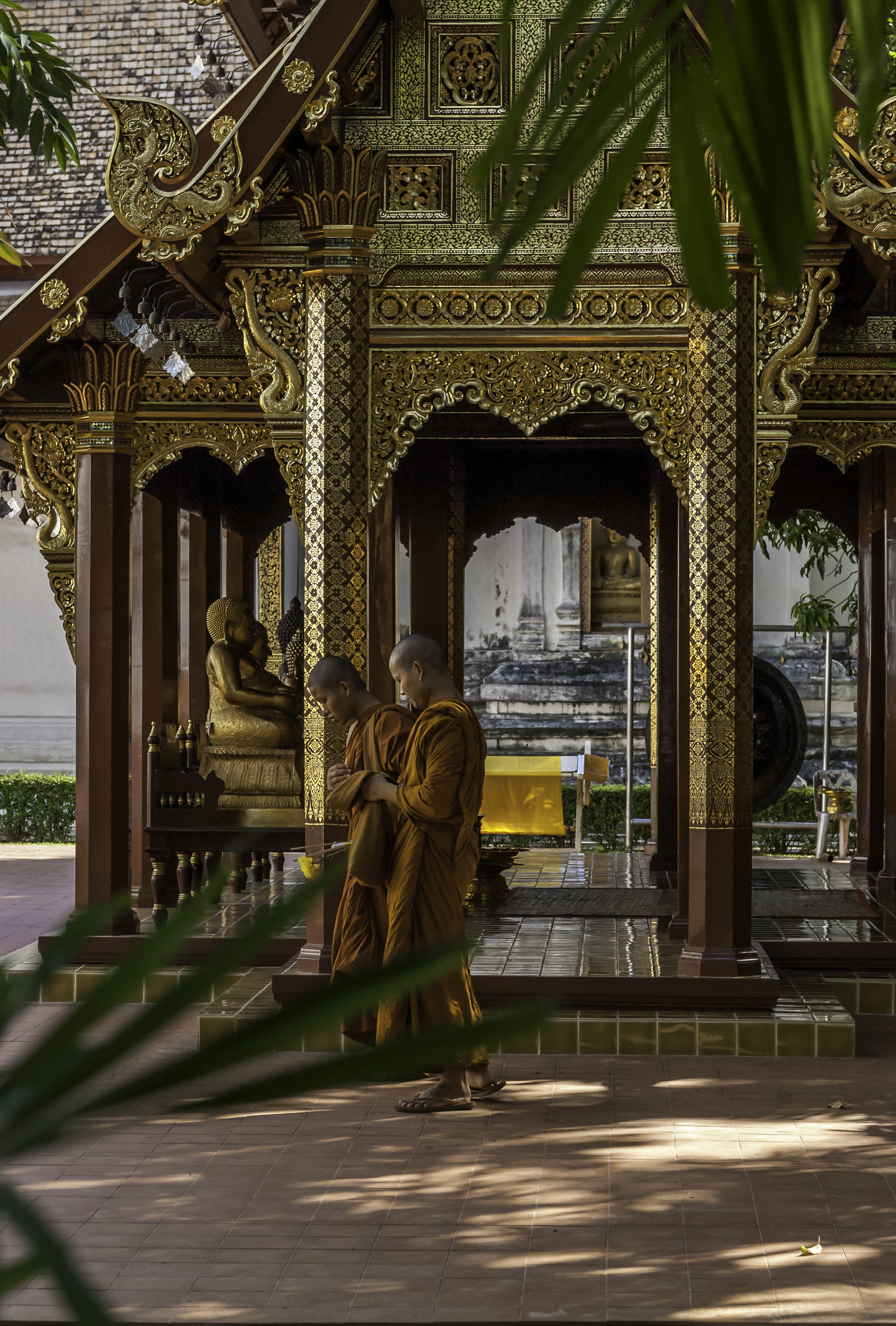 Buddhist Monks in a Temple in Chiang Mai