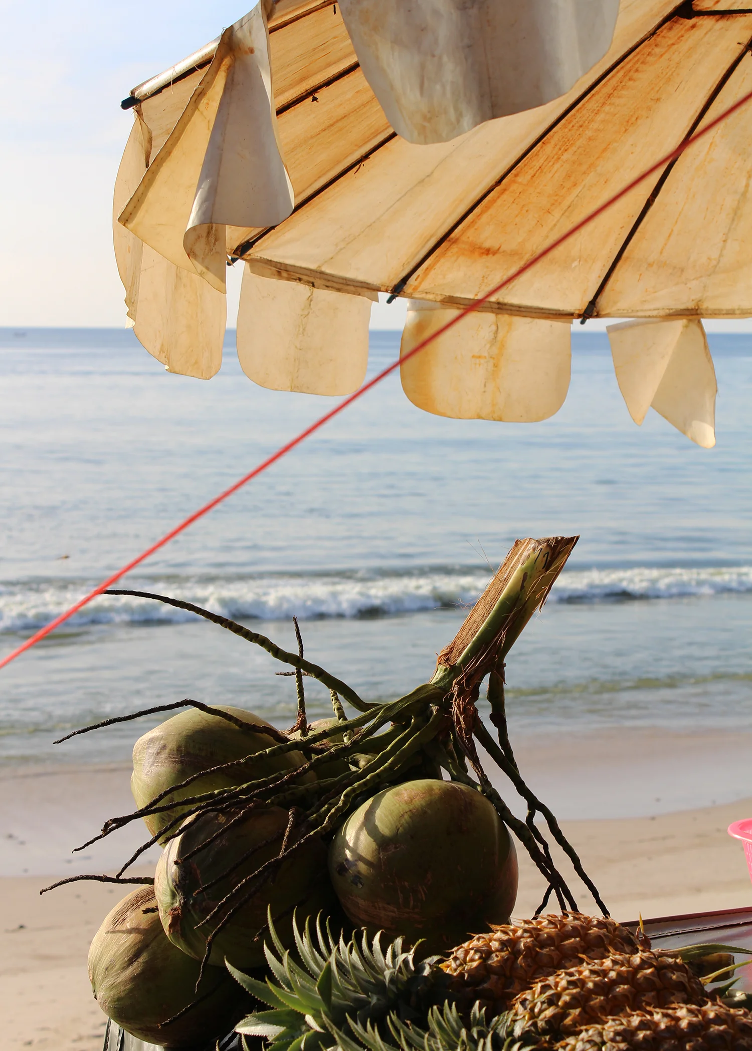 wearemad phuket thailand 01.jpg