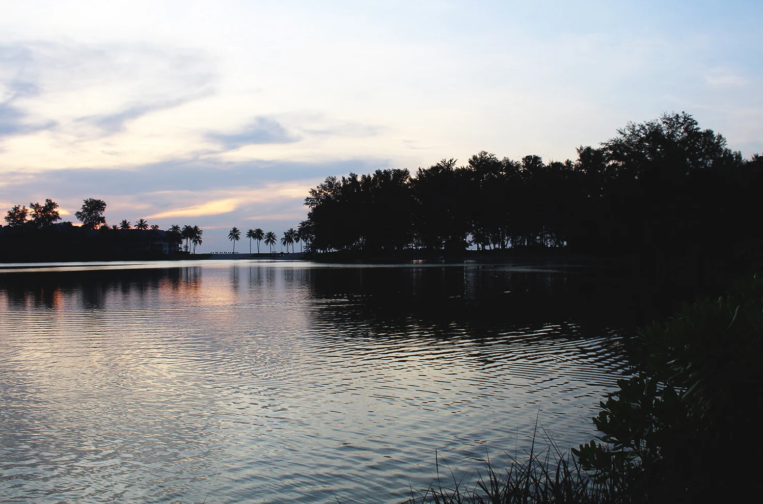 wearemad cassia laguna phuket infinity pool view.jpg