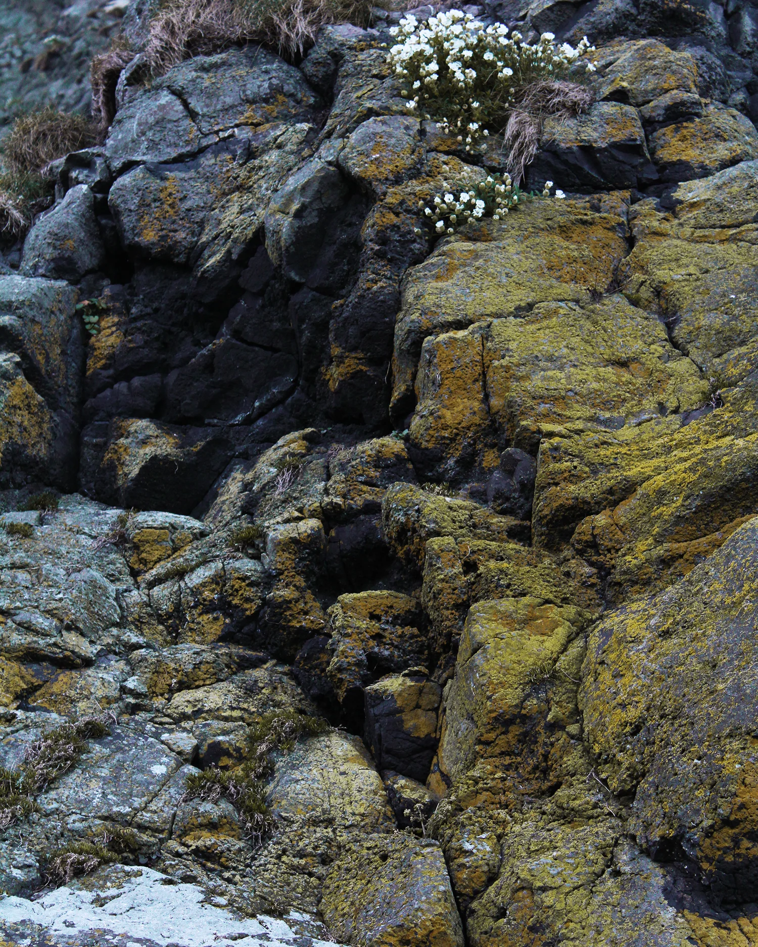 gobbins 07.jpg