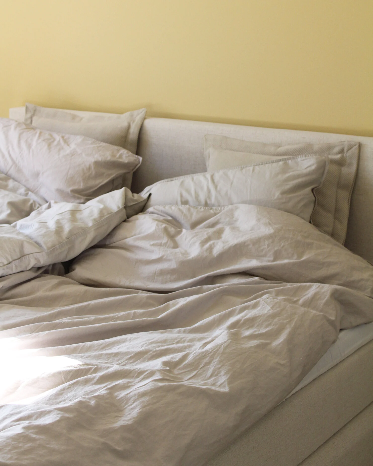 bedrenatter venus pulse 02.jpg