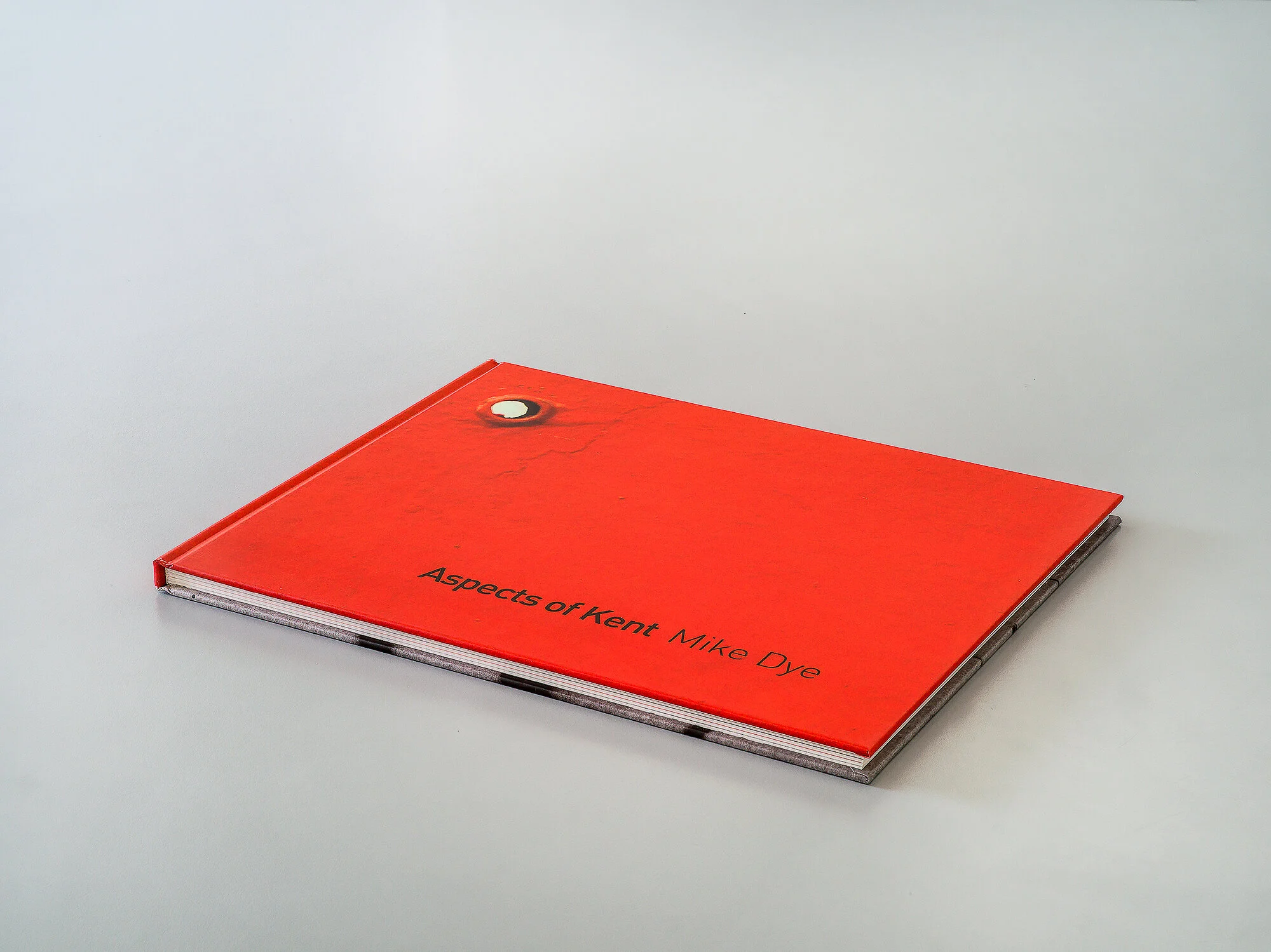 mike dye web site_-6.jpg