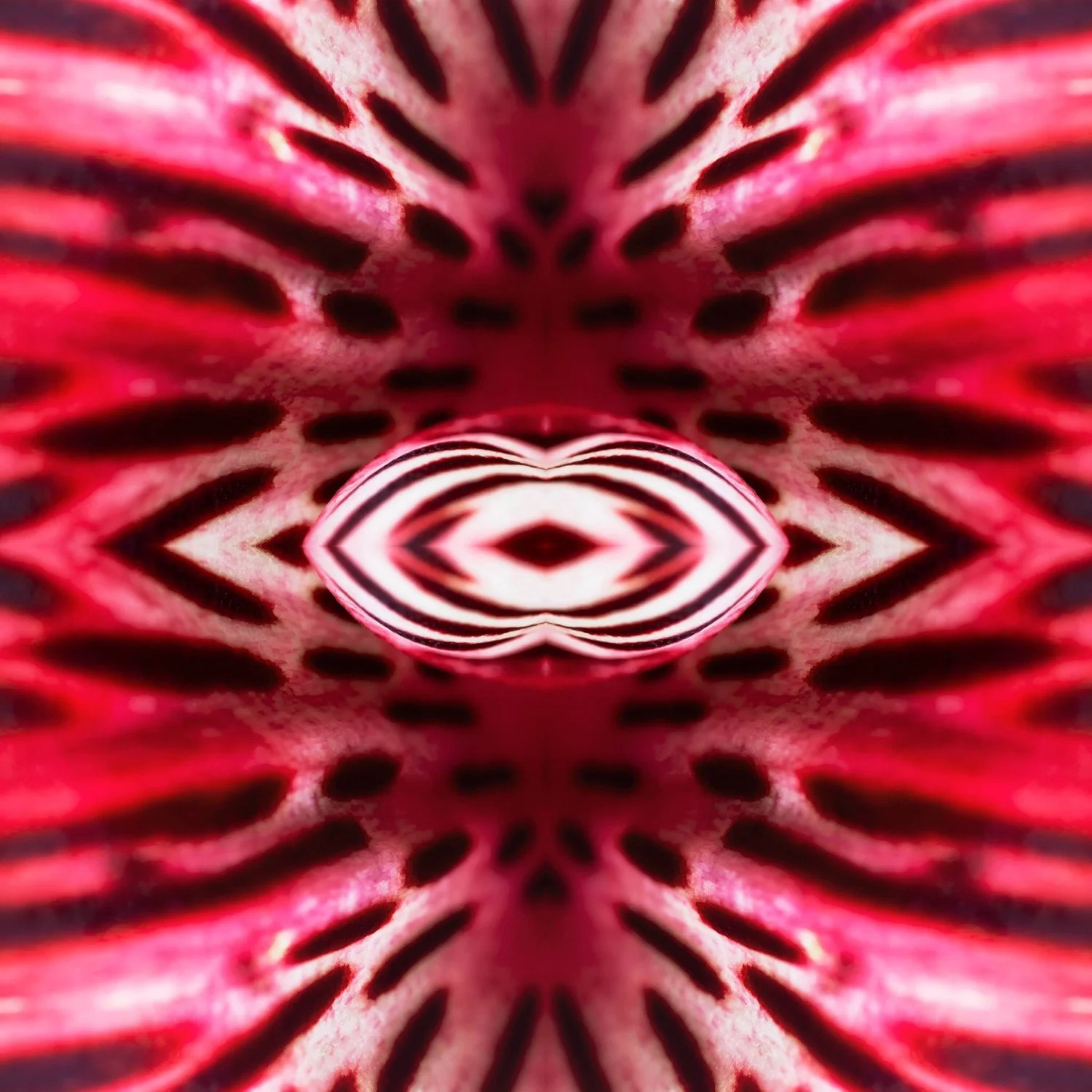 9C941F4D-8E2B-423B-A9DC-354B6D78E2ED.jpeg