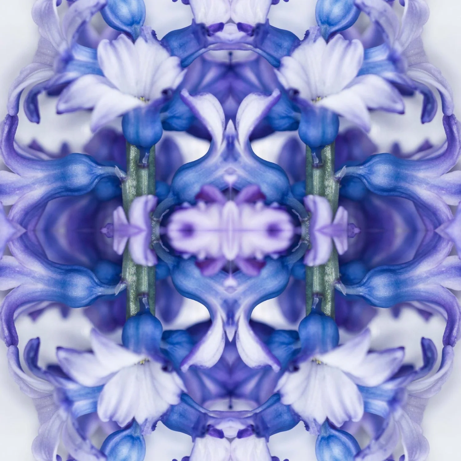 21EB9F97-C805-4DF4-9768-38729F353352.jpeg