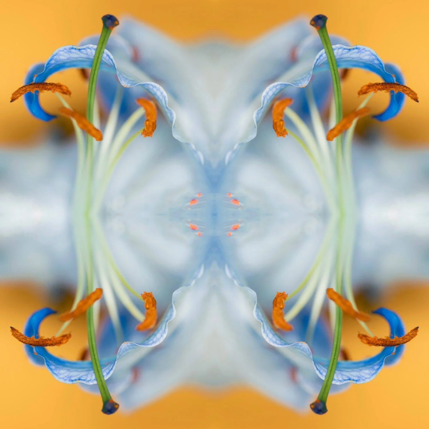938B001D-C60A-4E35-B828-F9444D385207.jpeg