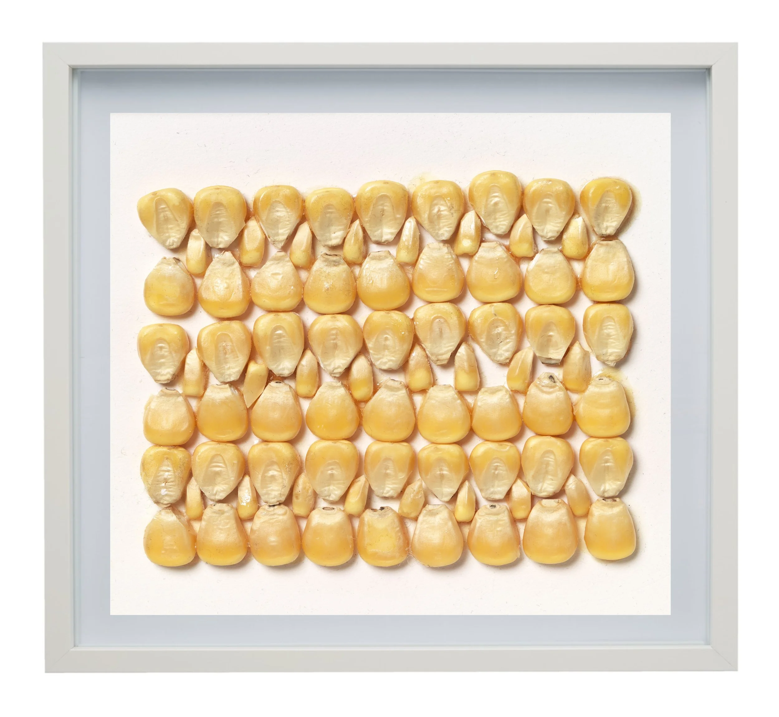 'CORN KERNELS' - RECONSTRUCTION OF ANNI ALBERS.jpg