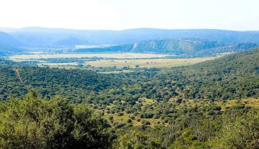 kariega-game-reserve7.jpg