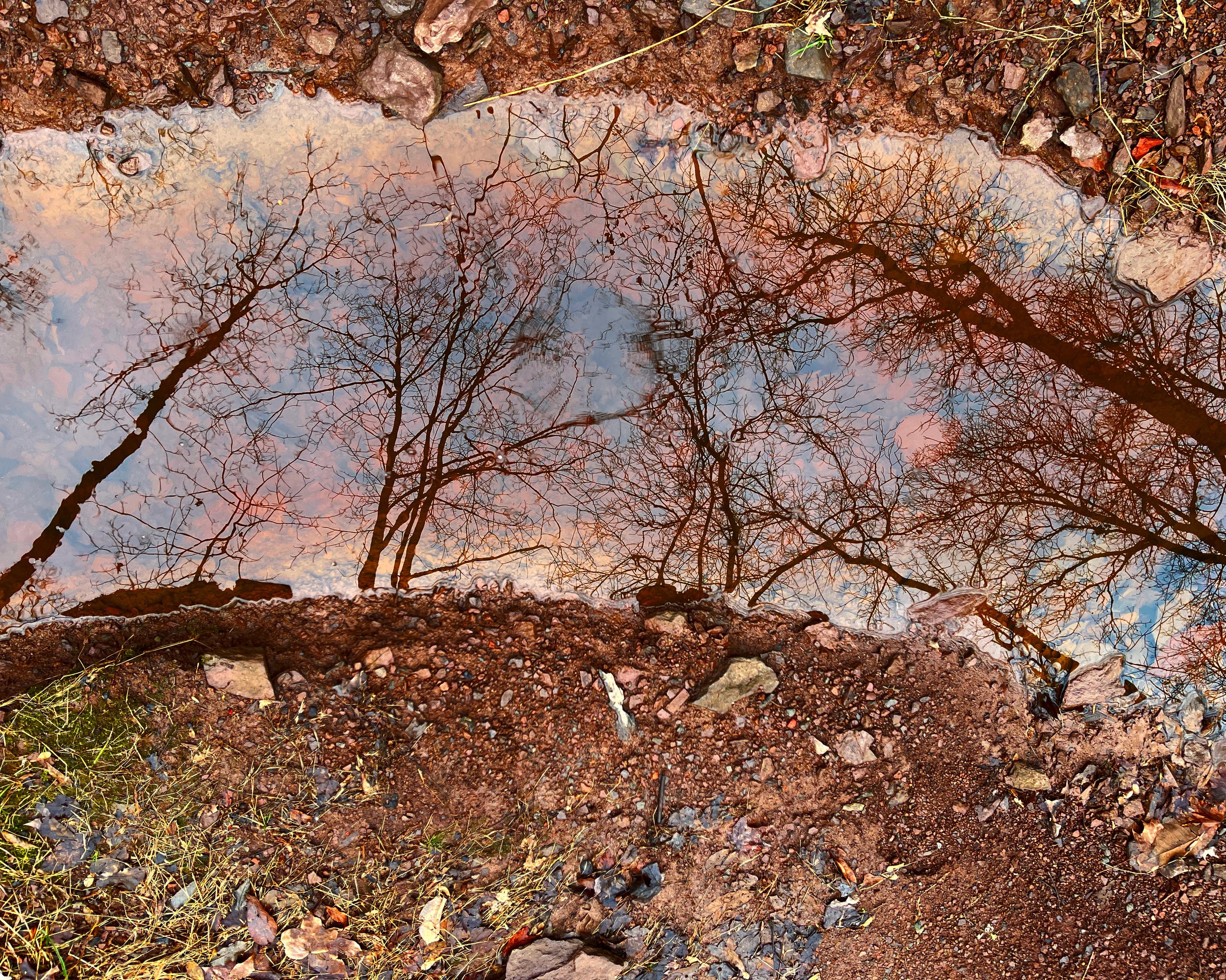 reflections in copper