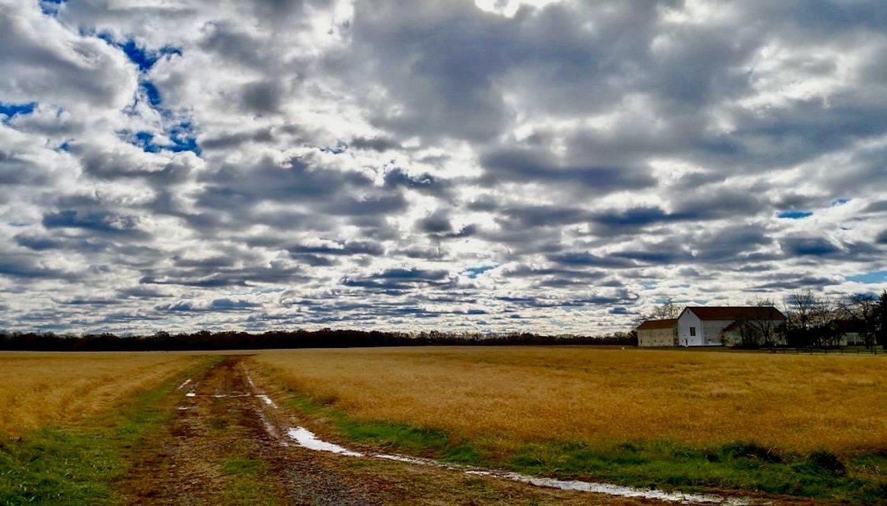 field of view