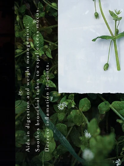 poster-mockup-city+BG.jpg