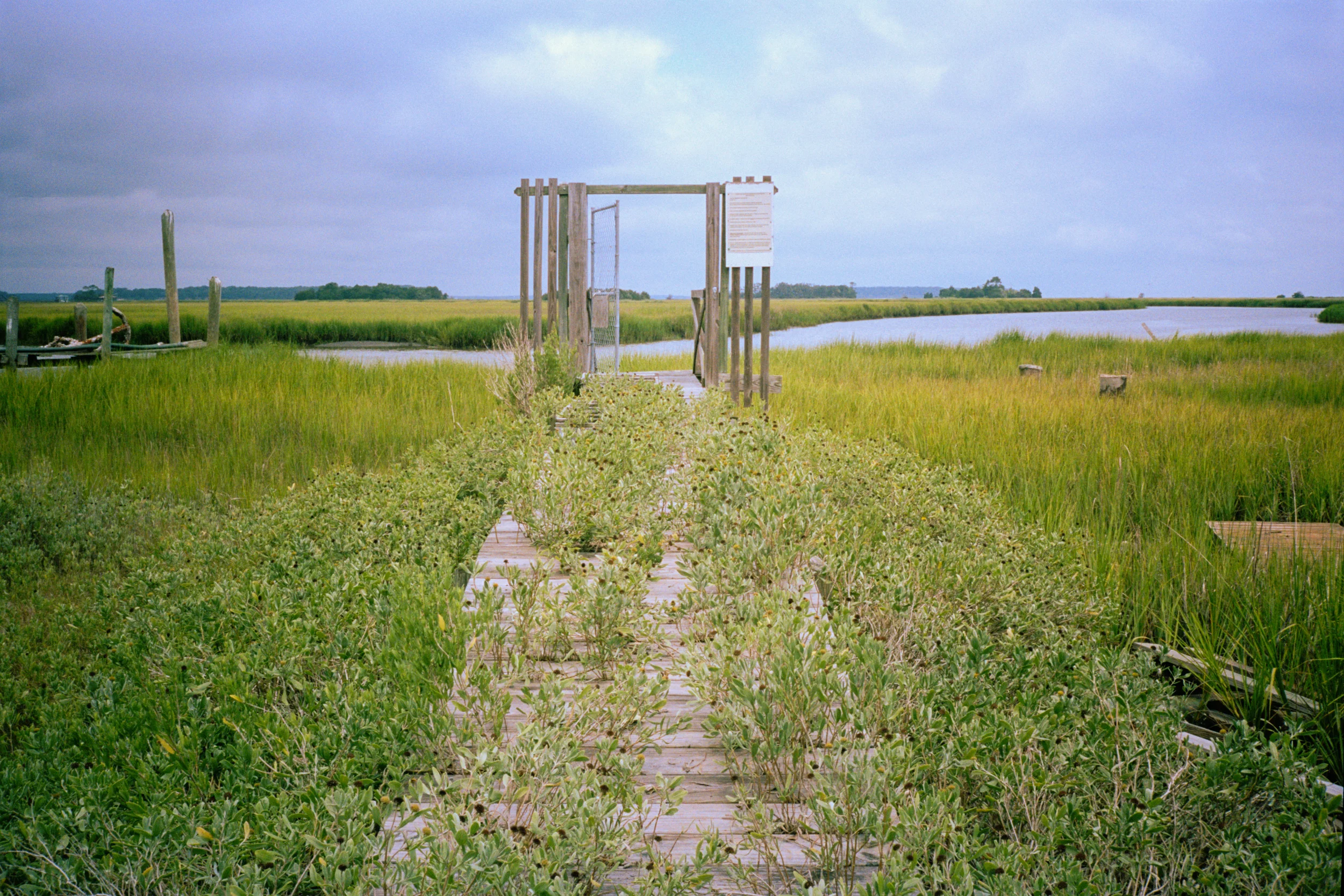 Jetty.jpg