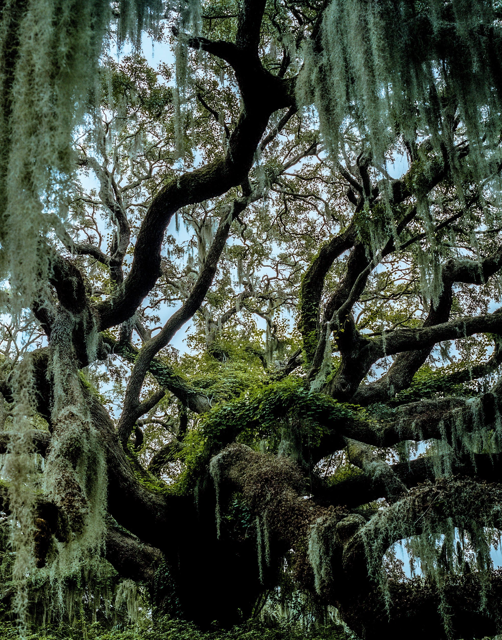 NEWCOLOURWEB-38.jpg