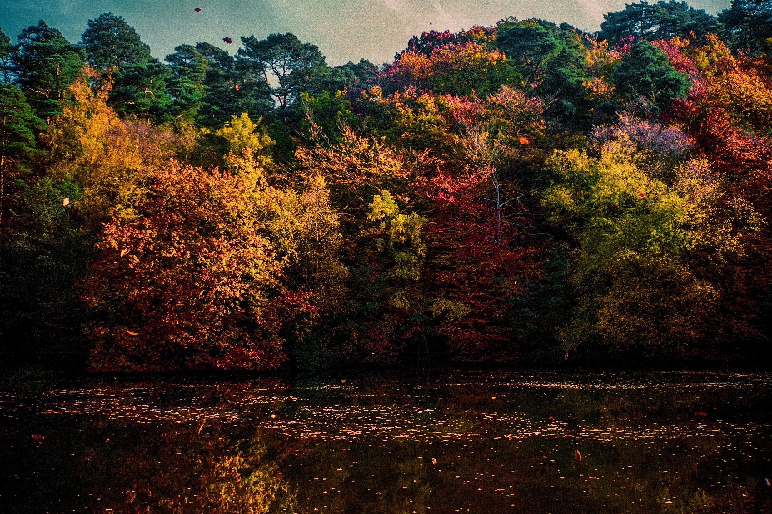 NEWCOLOURWEB-40.jpg