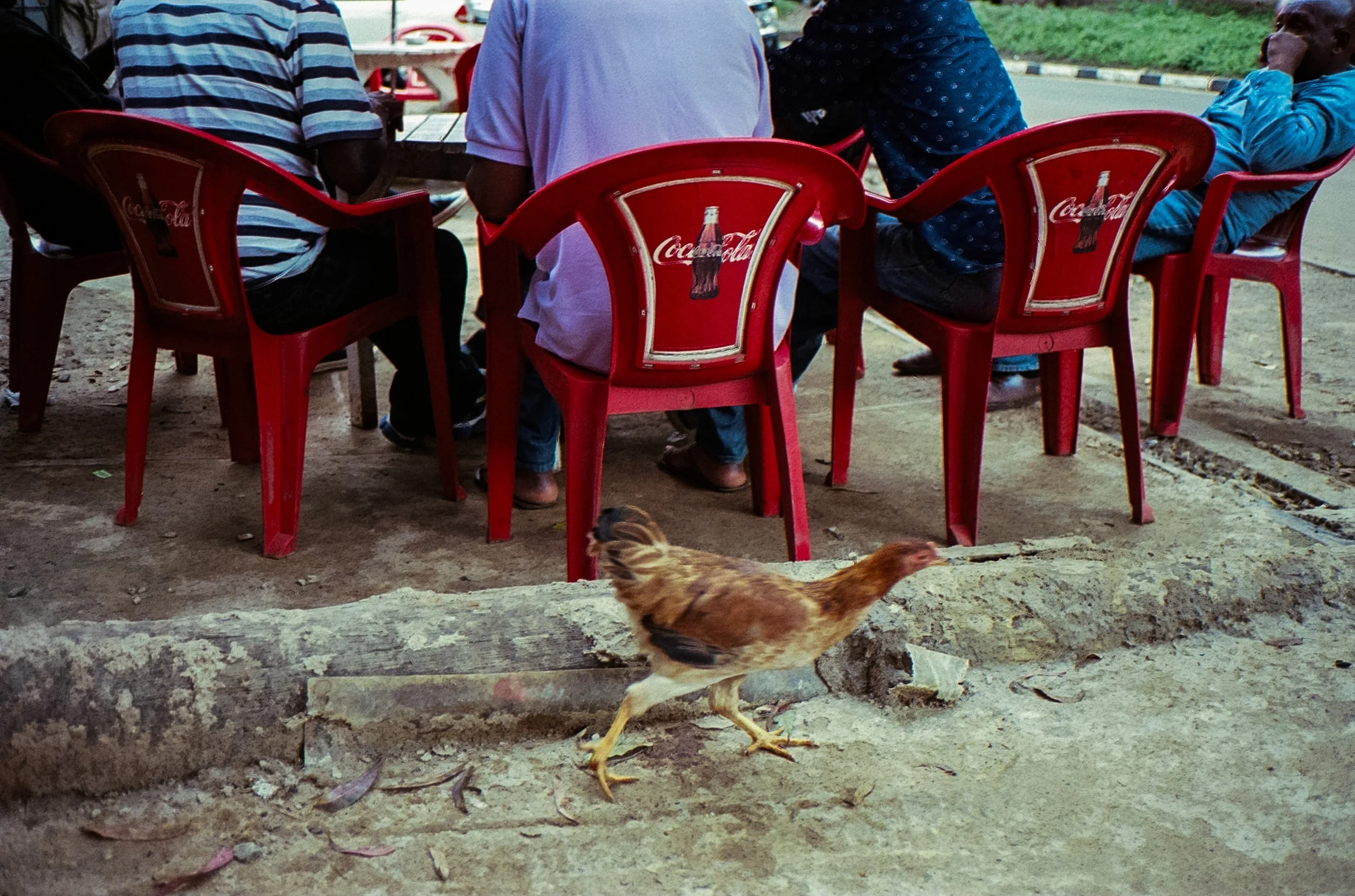 Ryan O'Toole Collett-4.jpg